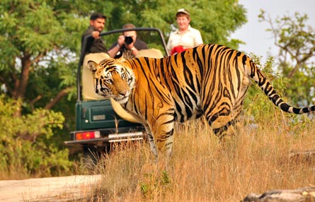 tour and travel agency in delhi